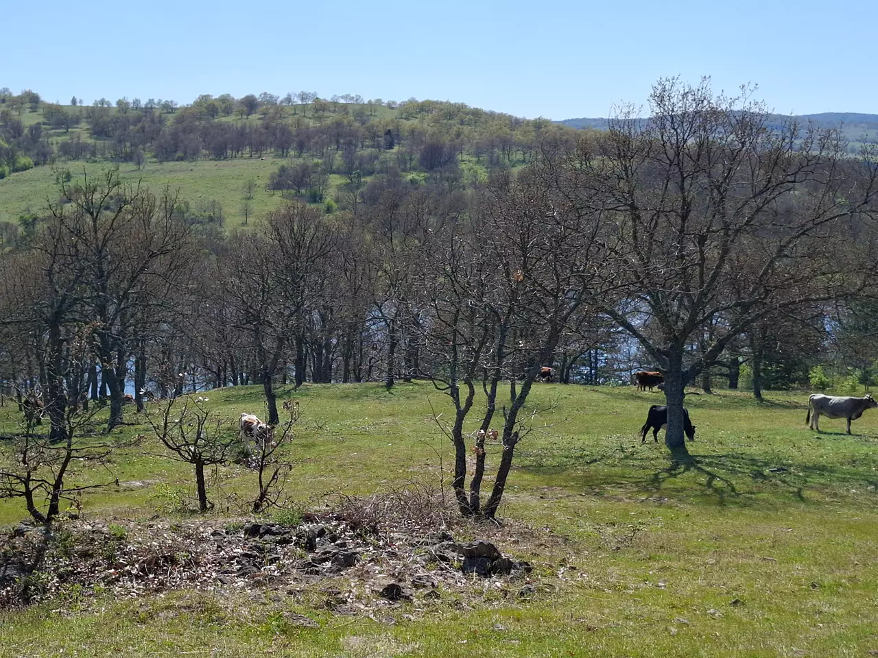 route_sakartsi_sakar-7-dolmens_11
