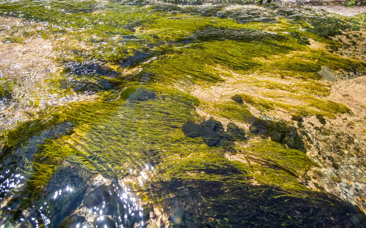 Местност Казанките