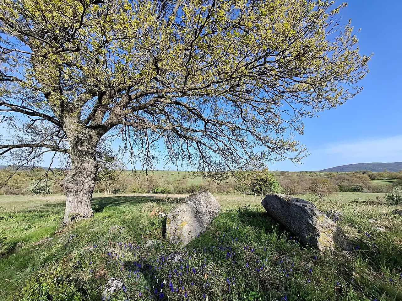 route_hlyabovo_hlyabovo-dolmeni-south_10