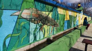 Рисуваната чешма