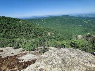 Големият здравец природна забележителност 
