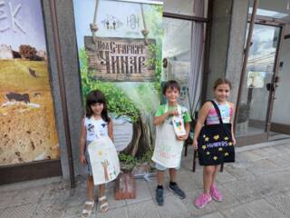 Под стария чинар в Мезек