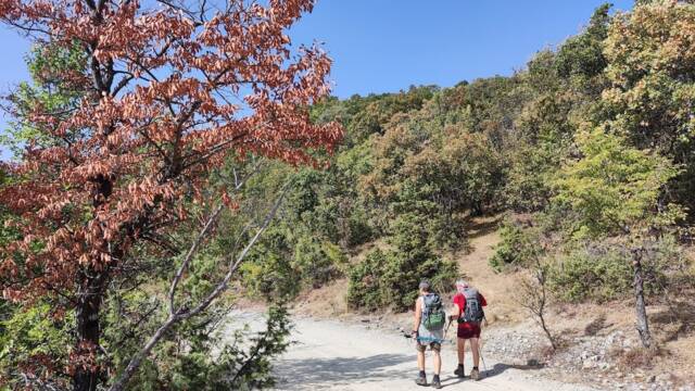 Кръгов маршрут Маджарово - Момина скала