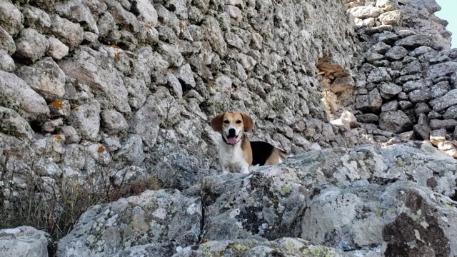 Скална църква “Св.Пантелеймон”