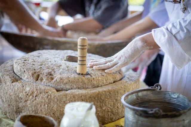 Празник на траханата