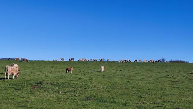 Пасищното животновъдство