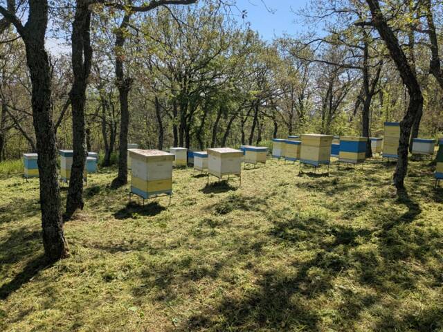 Пчелно стопанство "Панов"