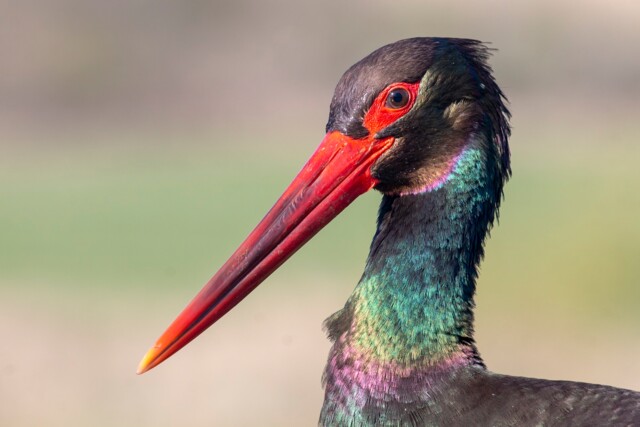 Природни забележителности